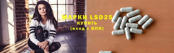 индика Алексеевка