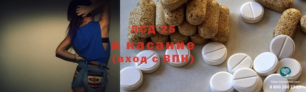 индика Алексеевка