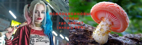 PSILOCYBIN Алексин