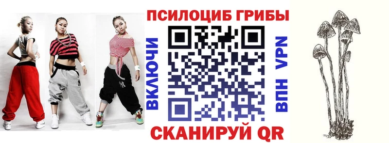 Галлюциногенные грибы прущие грибы  Волхов 